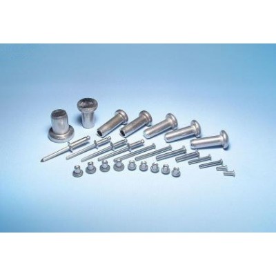 China Popular Fastener Nonstandard Metal Solid Rivet